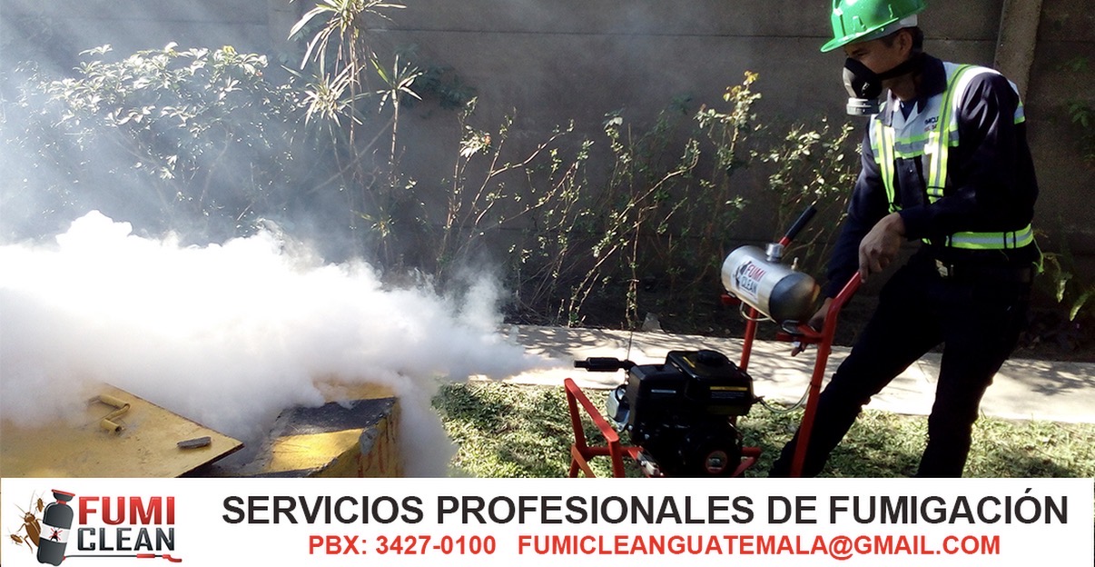 Técnico de Fumiclean realizando fumigación profesional